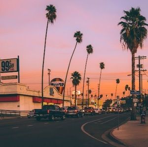 Meet your Posher, Marley